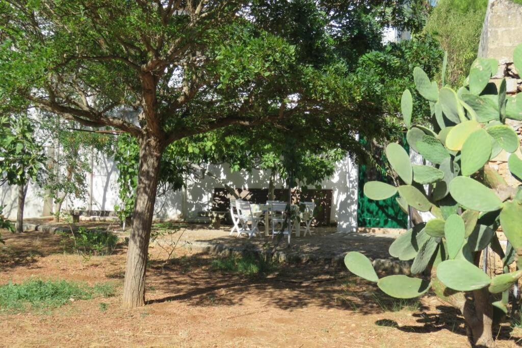 Casa Colonica Villa Gallipoli Exterior photo