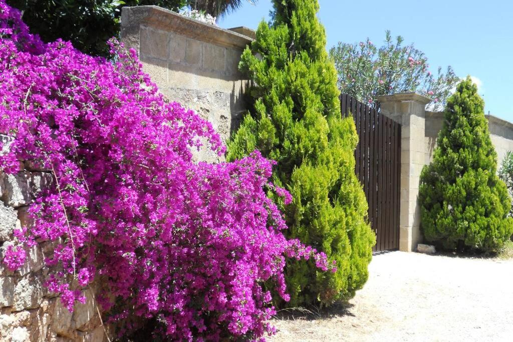 Casa Colonica Villa Gallipoli Exterior photo